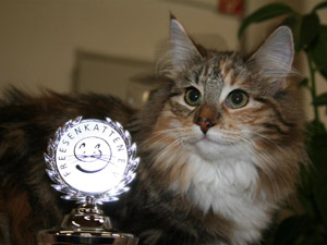 Freya mit Pokal best of Breed