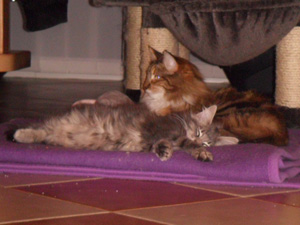 Henrikje mit Freya auf der Decke