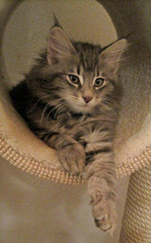 Henrikje unser Neuzugang