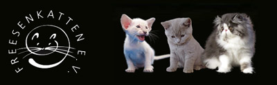 Hier geht's zu den Freesenkatten