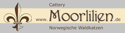 Banner moorlilien.de